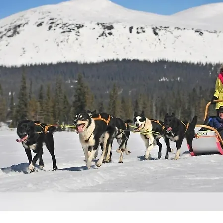 Viking Panorama-norefjell Сasa de vacaciones *