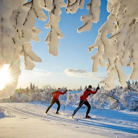 Viking Panorama-norefjell Semesterbostad *
