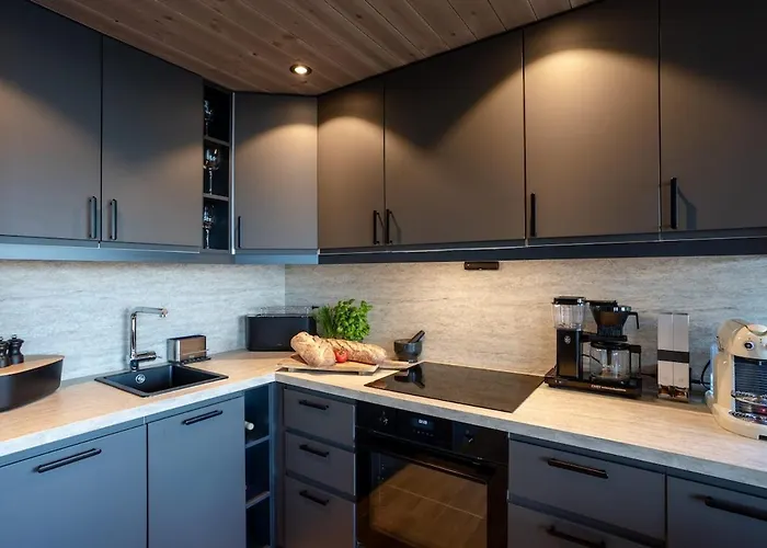 Viking Panorama-norefjell Semesterbostad