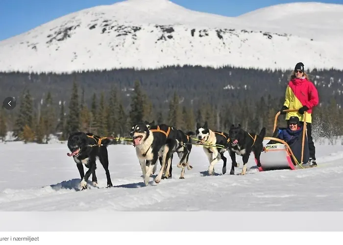Viking Panorama-norefjell Semesterbostad *