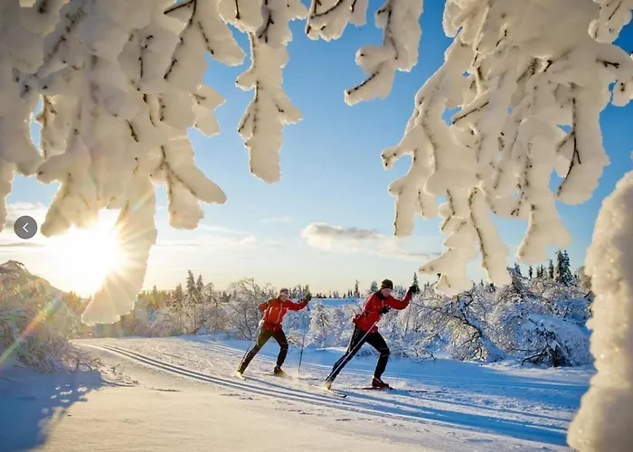 Viking Panorama-norefjell Semesterbostad *