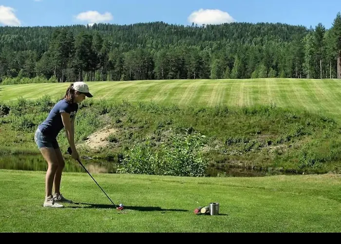 Viking Panorama-norefjell